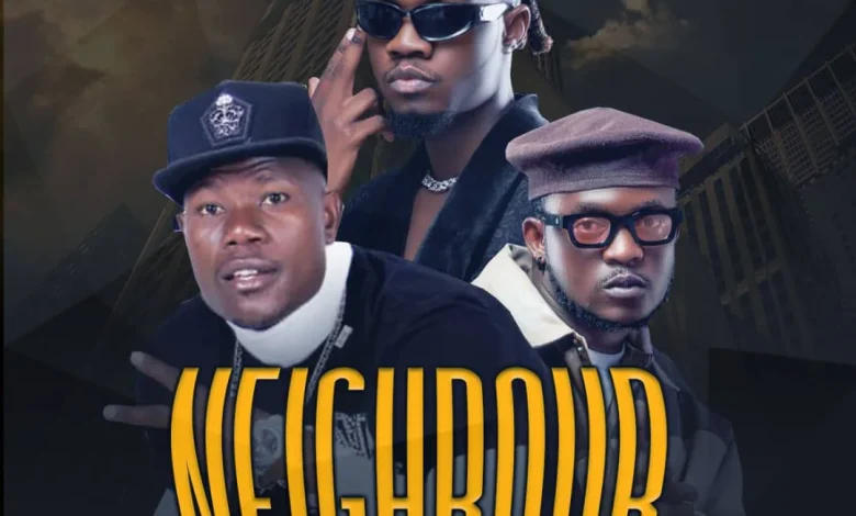 Igwe Punchline Ft. Dizmo & Triple M – Neighbour Mp3 Download